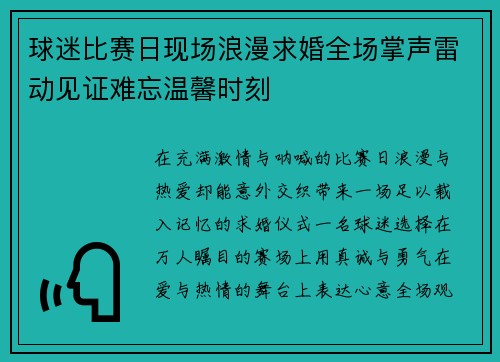 球迷比赛日现场浪漫求婚全场掌声雷动见证难忘温馨时刻